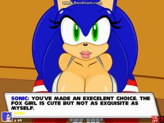 Sonic transformed 2 plezier met sonic en zeena