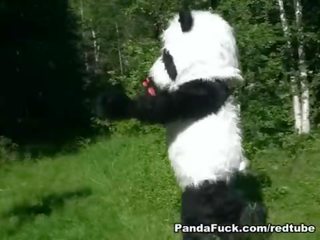 Punainen ratsastus huppu perseestä mukaan panda