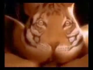 Tiger body